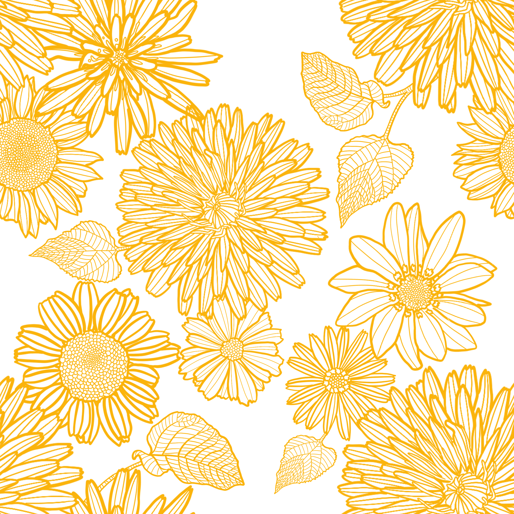 Various Yellow Flowers Illustration 